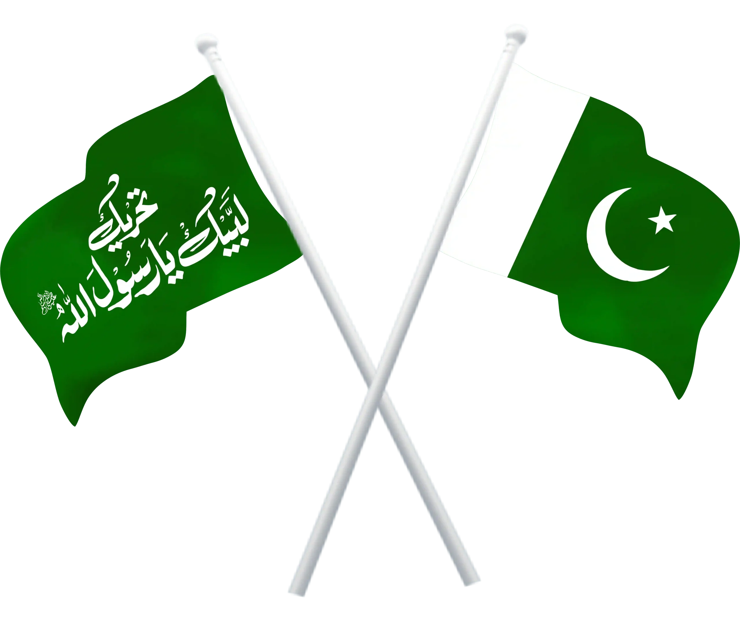 Tehreek e Labaik Pakistan Flag