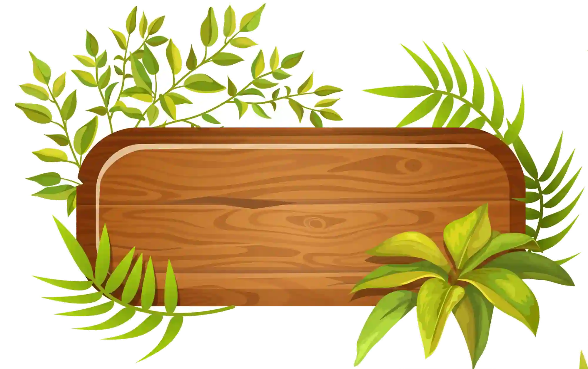 Tropical Plants Leaves On Wooden Banner Frame Png - Widepik