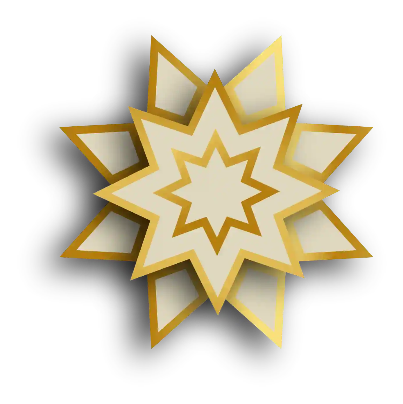 Star with Flower PNG Image | Widepik