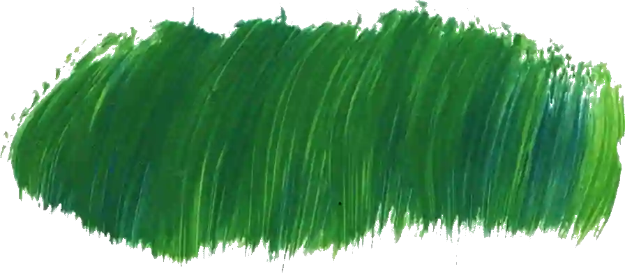 Green Paint Stroke PNG Image | Widepik