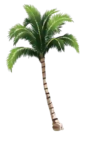 Banana Tree Png Free Download - Widepik