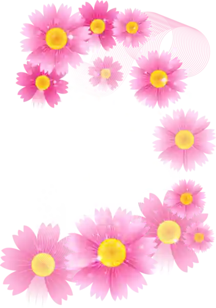 Beautiful Flower PNG Image | Widepik