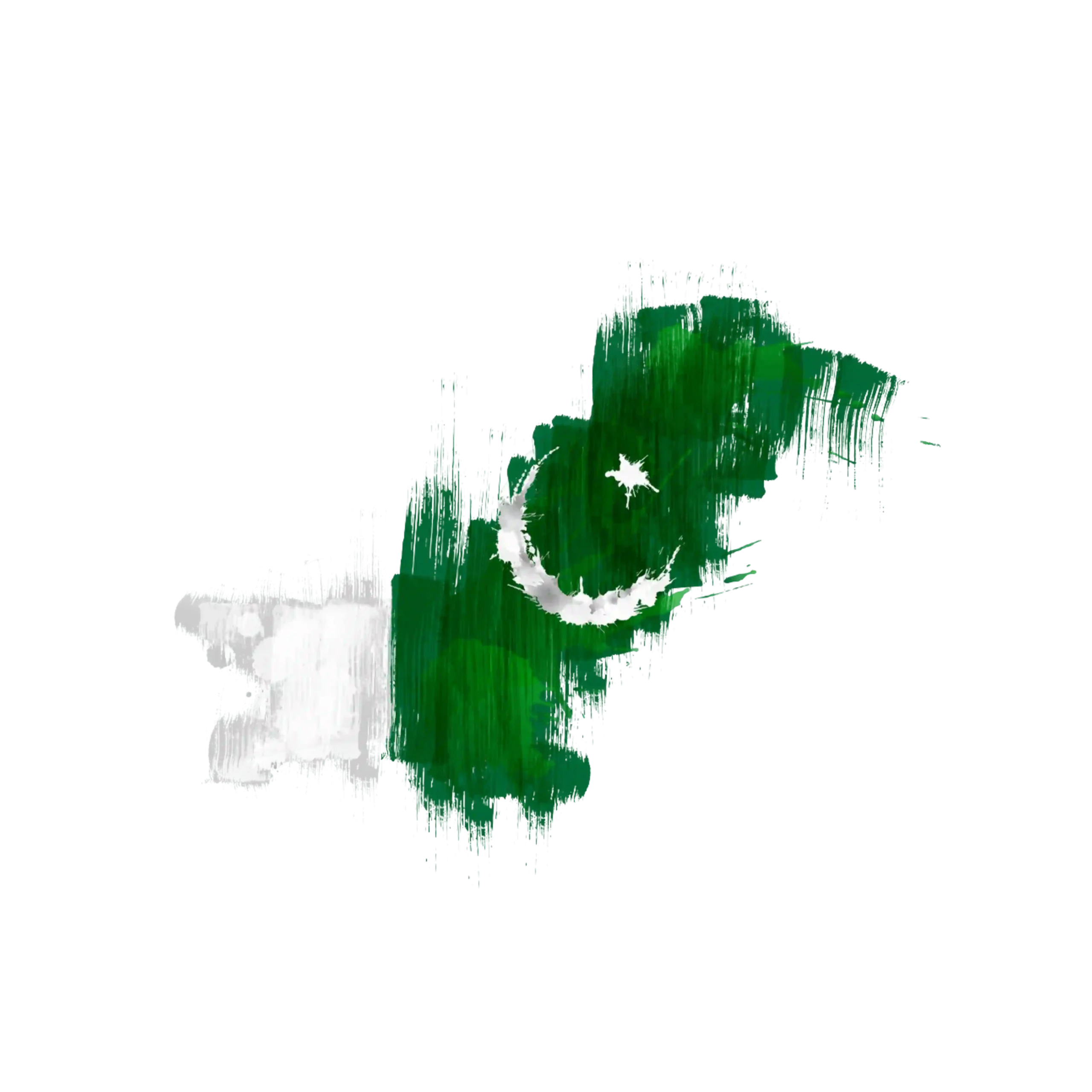 Pakistan Map Transparent Background Png - Widepik