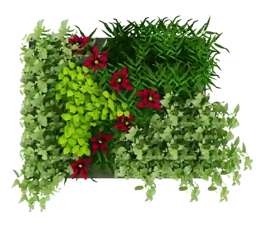 Flower PNG Frame Download | Widepik
