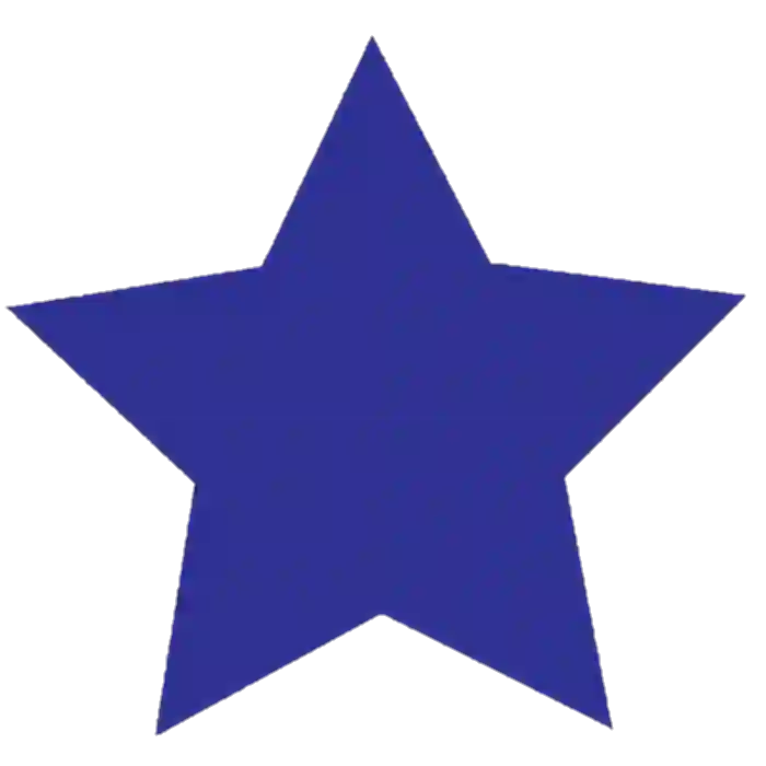 Blue Star PNG icon Download