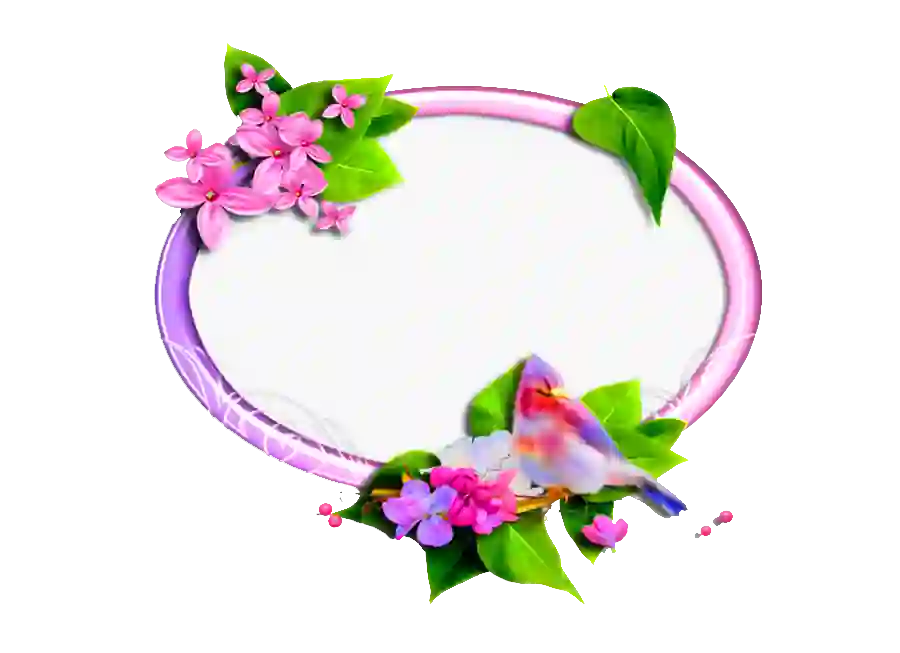 PNG Frame With Flower