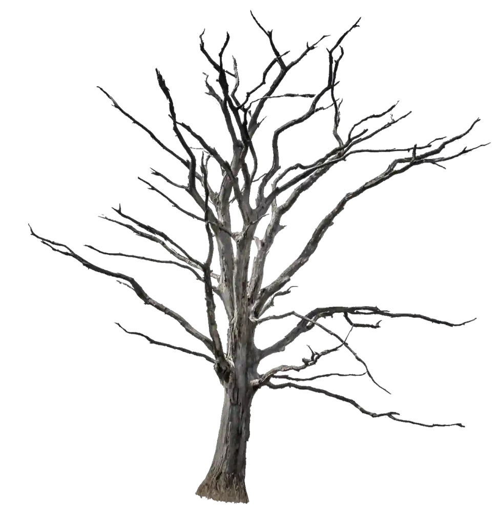 Dead Tree Free PNG